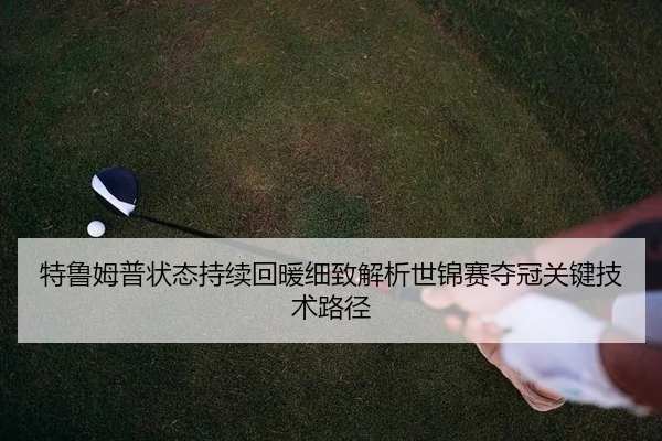 te-lu-mu-pu-zhuang-tai-chi-xu-hui-nuan-xi-zhi-jie-xi-shi-jin-sai-duo-guan-guan-jian-ji-shu-lu-jing-2-500.jpg