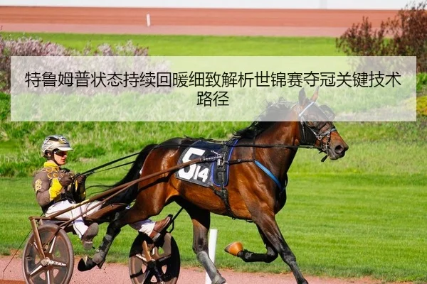 特鲁姆普状态持续回暖细致解析世锦赛夺冠关键技术路径